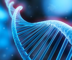 DNA-Strang 2
